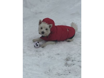 Holiday apartment Albin 1 - Outdoor photo 25
