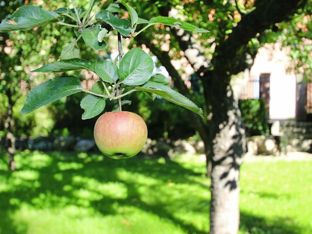 Holiday house Ferienhaus Rosenhof, Lenzen - Outdoor photo 3