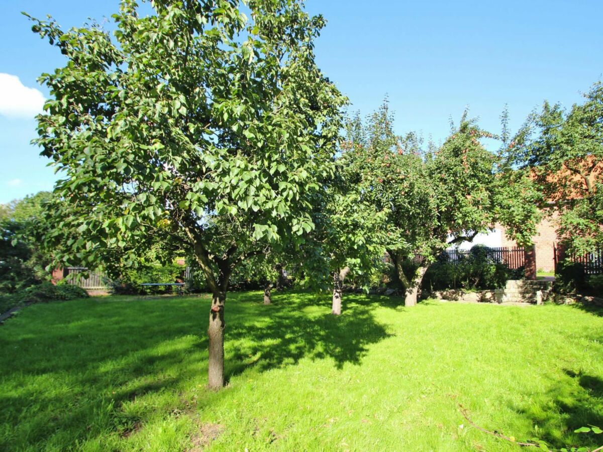 Holiday house Ferienhaus Rosenhof, Lenzen - Outdoor photo 5