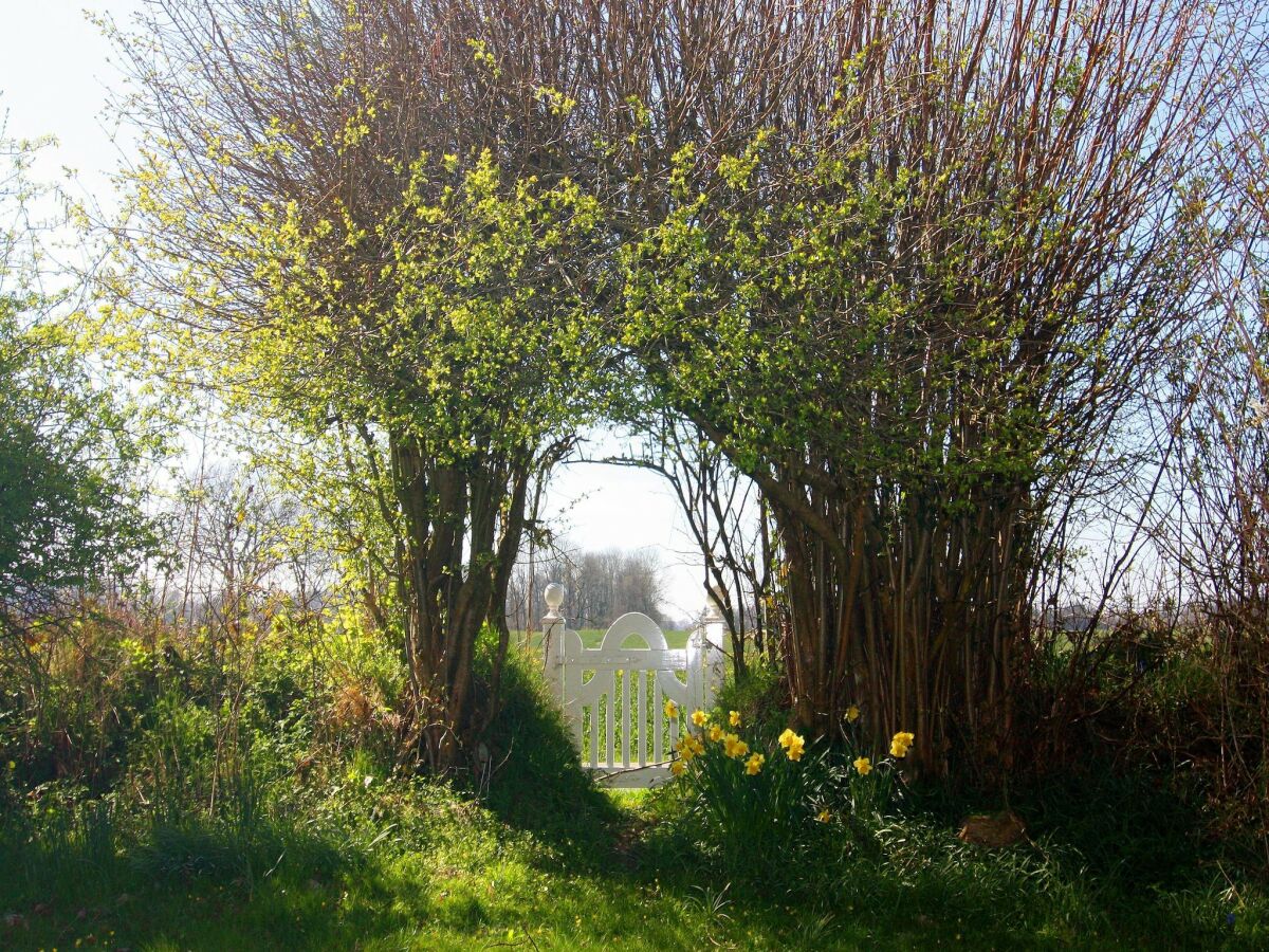 Holiday house Ferienhaus in Damp mit Terrasse - Outdoor photo 5