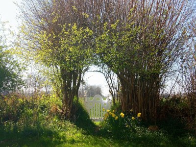 Holiday house Ferienhaus in Damp mit Terrasse - Outdoor photo 5