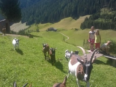 Holiday house Egger - Outdoor photo 20