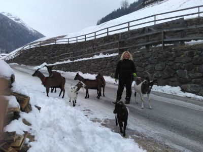 Holiday house Egger - Outdoor photo 21