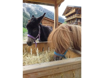 Holiday house Egger - Outdoor photo 22