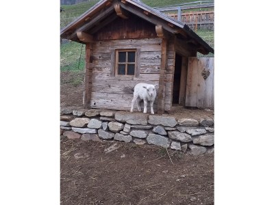 Holiday house Egger - Outdoor photo 23