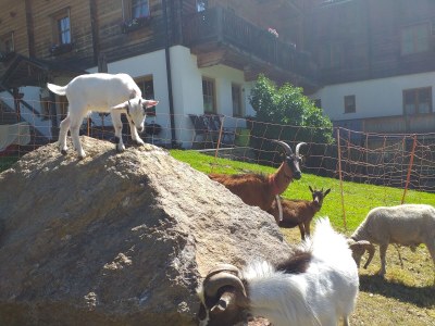 Holiday house Egger - Outdoor photo 24