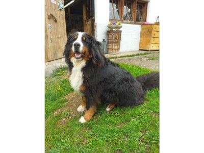 Holiday house Egger - Outdoor photo 27