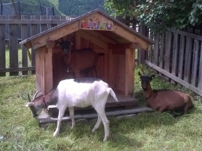 Holiday house Egger - Outdoor photo 29