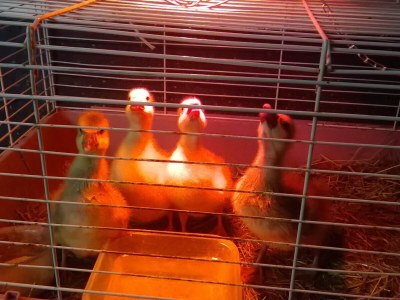 Holiday house Egger - Outdoor photo 30