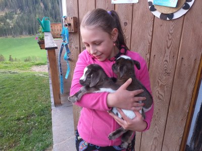 Holiday house Egger - Outdoor photo 31