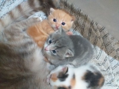 Holiday house Egger - Outdoor photo 33