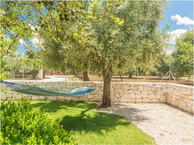 Holiday house Trullo il Pioppo gigante - Outdoor photo 9