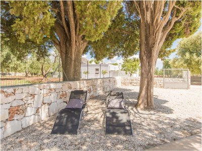 Holiday house Trullo il Pioppo gigante - Outdoor photo 10
