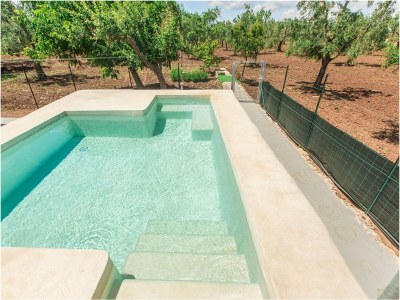 Holiday house Trullo il Pioppo gigante - Outdoor photo 11