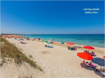 Holiday house Trullo il Pioppo gigante - Environment photo 25