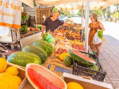 Holiday house Vista mare da Rossella - Environment photo 31