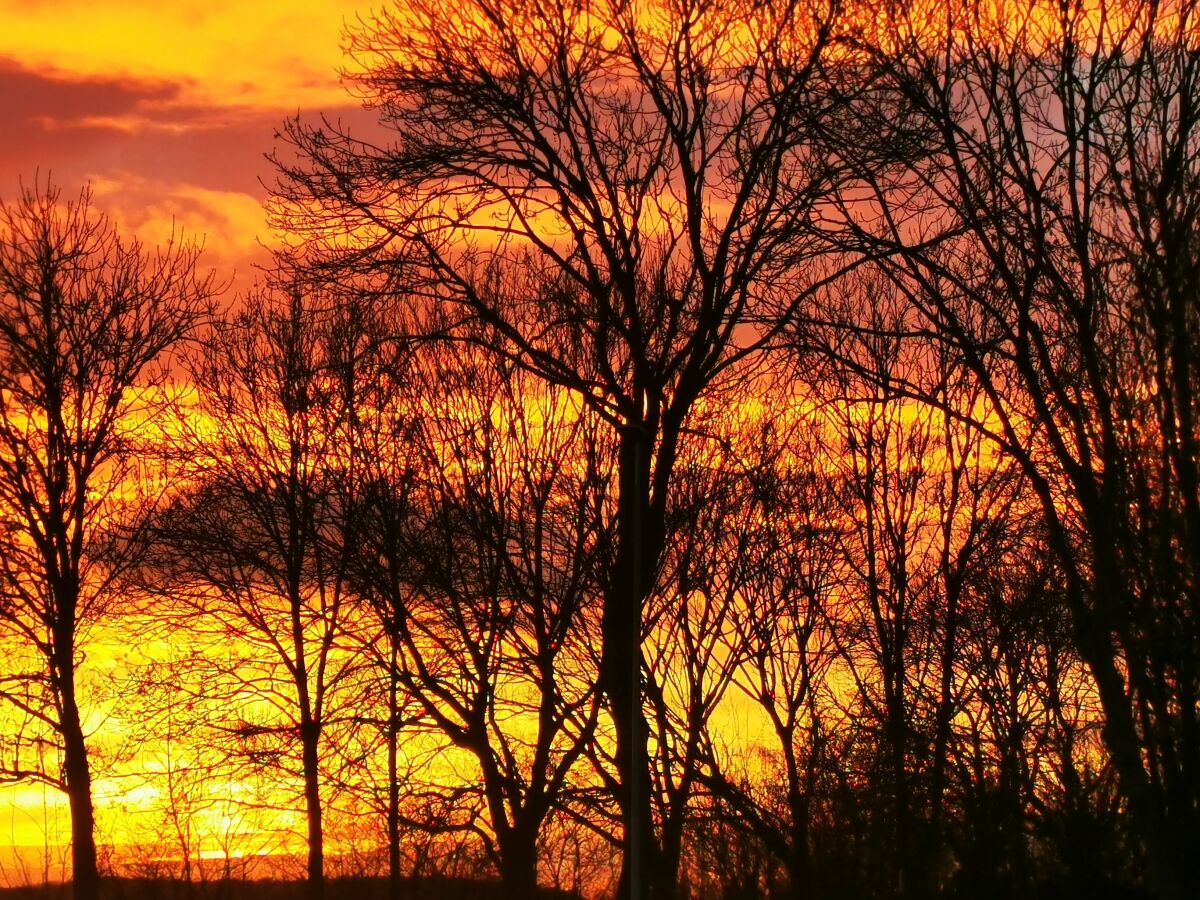 Holiday house Quietly located holiday home in Zeeland - Outdoor photo 5