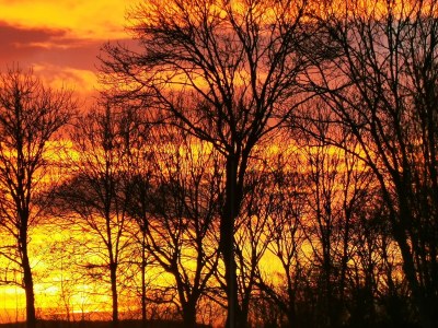 Holiday house Quietly located holiday home in Zeeland - Outdoor photo 5