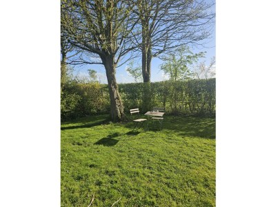 Holiday house Quietly located holiday home in Zeeland - Outdoor photo 8