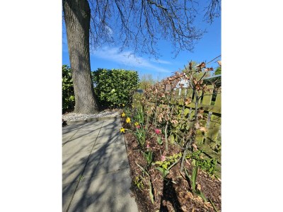 Holiday house Quietly located holiday home in Zeeland - Outdoor photo 9