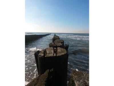 Holiday house Quietly located holiday home in Zeeland - Environment photo 29