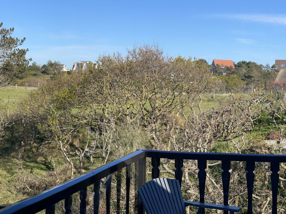 Villa Engelse Veld - Outdoor photo 4