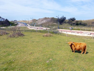 Villa Engelse Veld - Environment photo 39