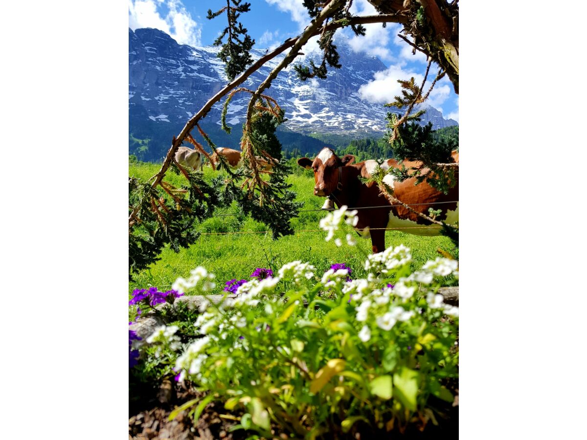 Holiday apartment No title - Outdoor photo 5