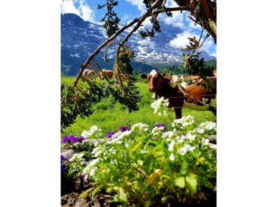 Holiday apartment No title - Outdoor photo 5