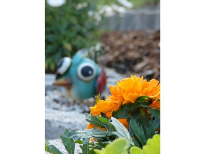 Chalet Stanggassinger - Outdoor photo 5