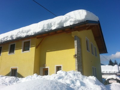 Holiday apartment Katzer - Outdoor photo 8