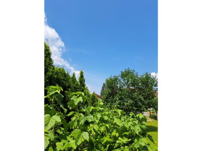 Holiday apartment Katzer - Outdoor photo 12