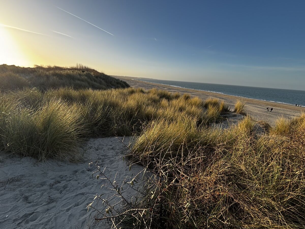 Holiday house Helmgras - de Banjaard - Outdoor photo 3