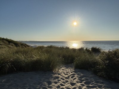 Holiday house Helmgras - de Banjaard - Environment photo 33