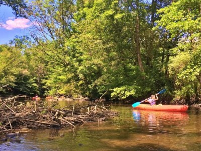 Villa Rouzède Villa mit Pool - Environment photo 38