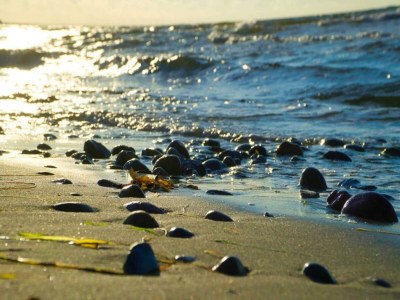 Holiday house 6 person holiday home in Sydals-By Traum - Outdoor photo 23