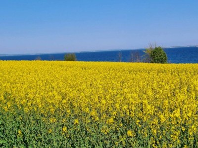 Holiday house 6 person holiday home in Sydals-By Traum - Outdoor photo 26