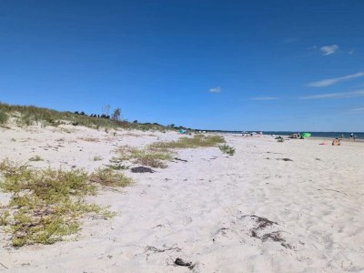 Holiday house 8 person holiday home in Væggerløse - Outdoor photo 4