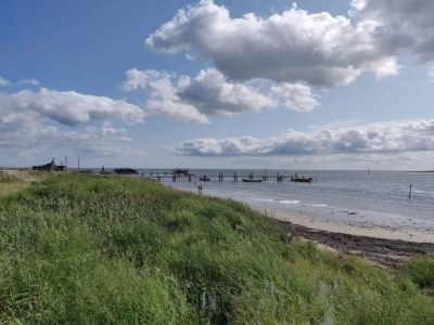 Holiday house 7 Personen Ferienhaus in Hadsund-By Traum - Outdoor photo 28