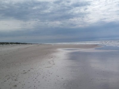 Holiday house 8 person holiday home in Oksbøl-By Traum - Outdoor photo 11