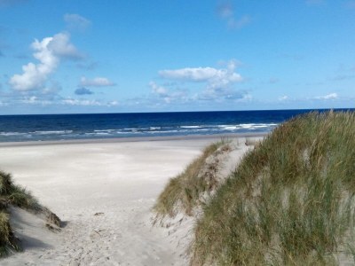 Holiday house 8 person holiday home in Oksbøl-By Traum - Outdoor photo 30