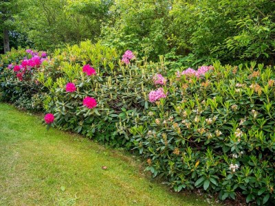 Holiday house 6 Personen Ferienhaus in Struer-By Traum - Outdoor photo 42