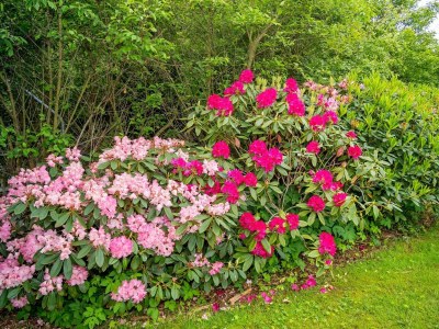 Holiday house 6 Personen Ferienhaus in Struer-By Traum - Outdoor photo 47