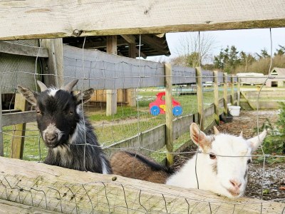 Holiday house 6 Personen Ferienhaus in Struer-By Traum - Outdoor photo 49