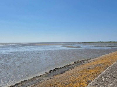 Holiday house 6 Personen Ferienhaus in Rømø-By Traum - Outdoor photo 40