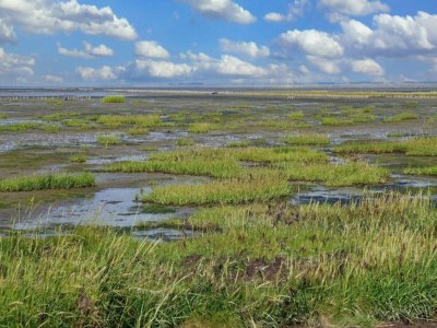 Holiday house Luxury Retreat in Toftum - By Traum Ferienwohnungen - Outdoor photo 37