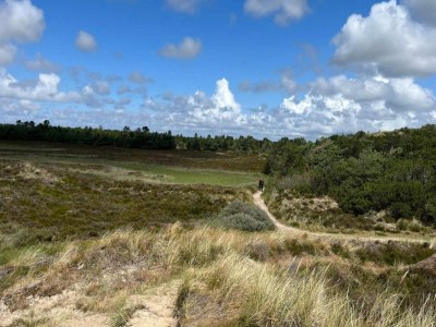 Holiday house Luxury Retreat in Toftum - By Traum Ferienwohnungen - Outdoor photo 38