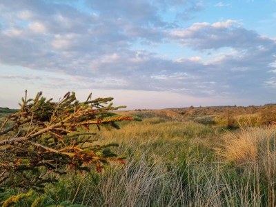 Holiday house 12 person holiday home in Thisted-By Traum - Outdoor photo 10