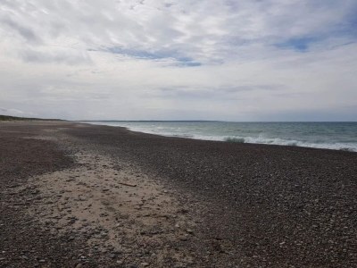 Holiday house 12 person holiday home in Thisted-By Traum - Outdoor photo 12