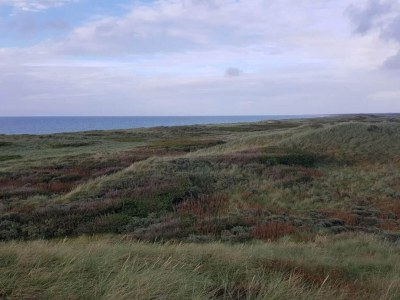 Holiday house 12 person holiday home in Thisted-By Traum - Outdoor photo 14